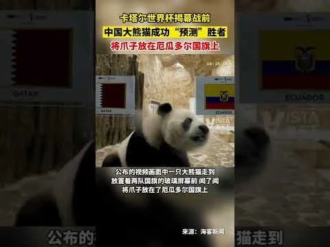 阿根廷队三比二险胜葡萄牙队挺进世界杯决赛